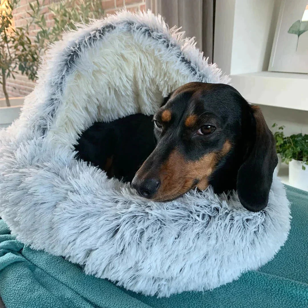 cozy cocoon - pet bed