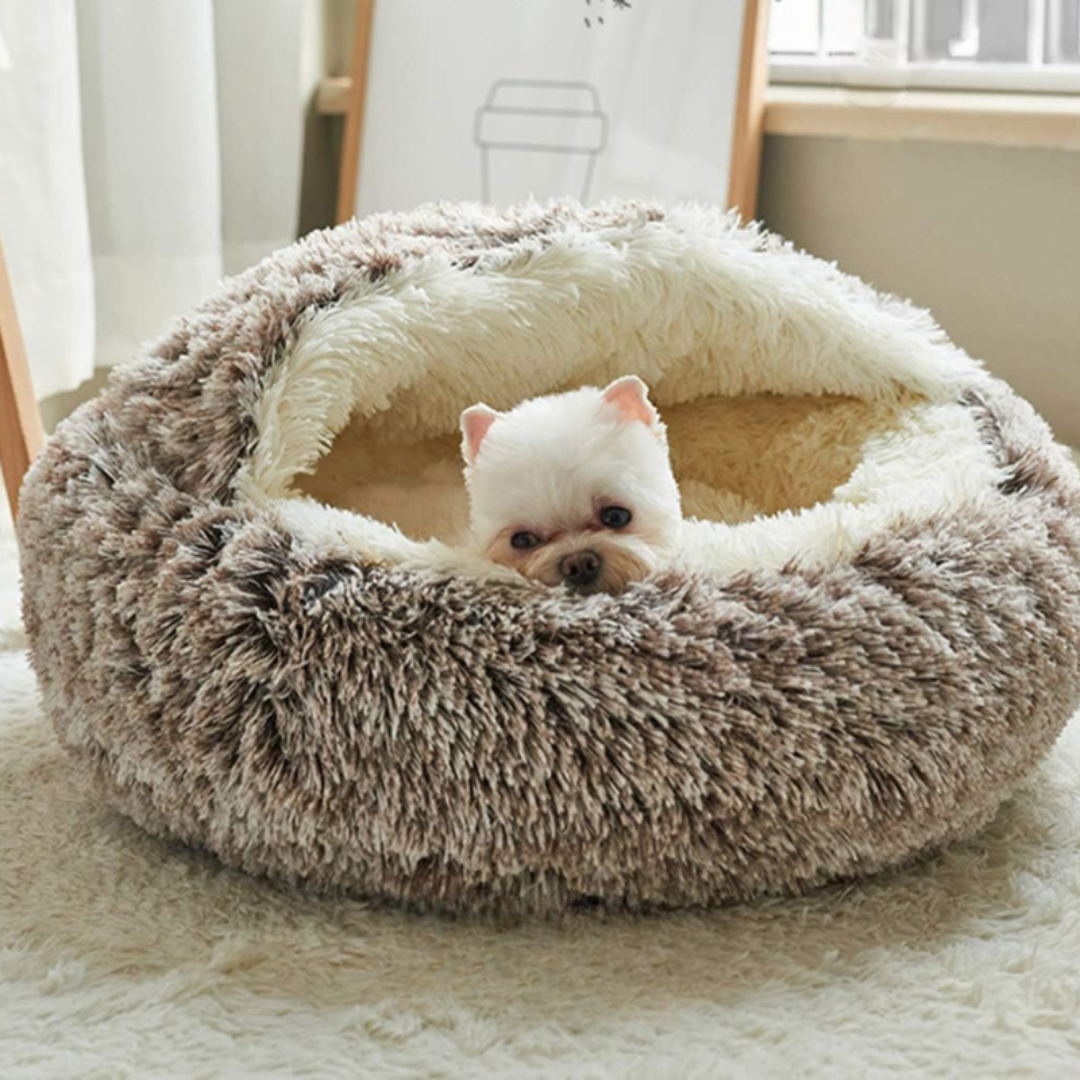 cozy cocoon - pet bed